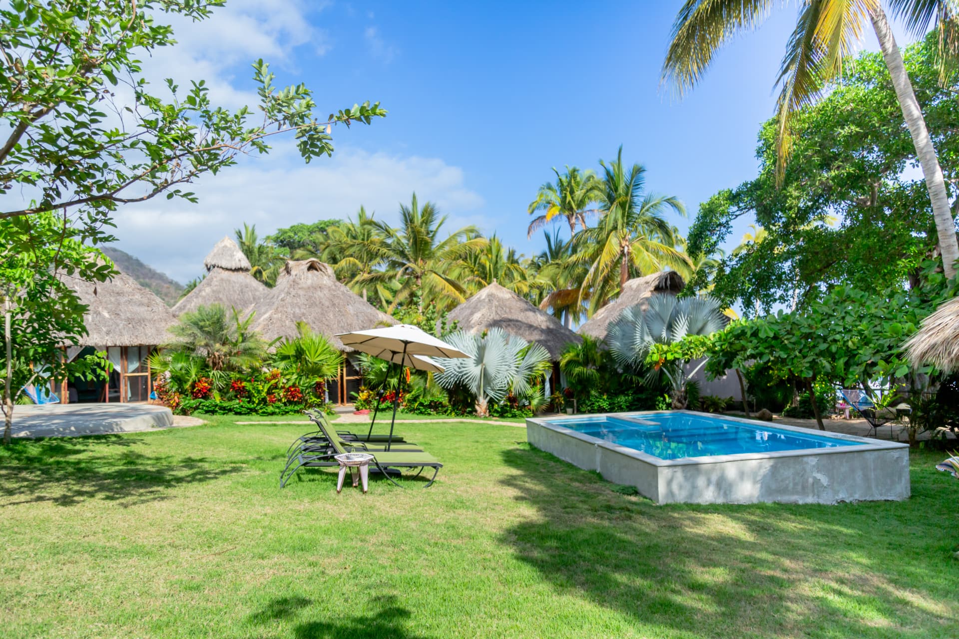 Pool wrapped in tropical garden and palms