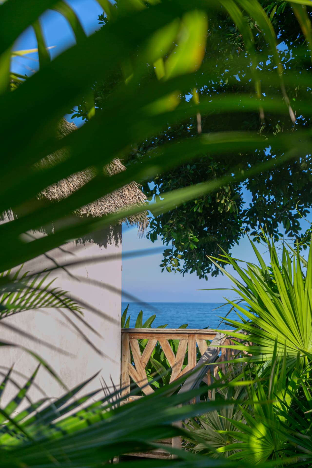 Ocean view framed by palm trees and a palapa roof at Amaca Beach