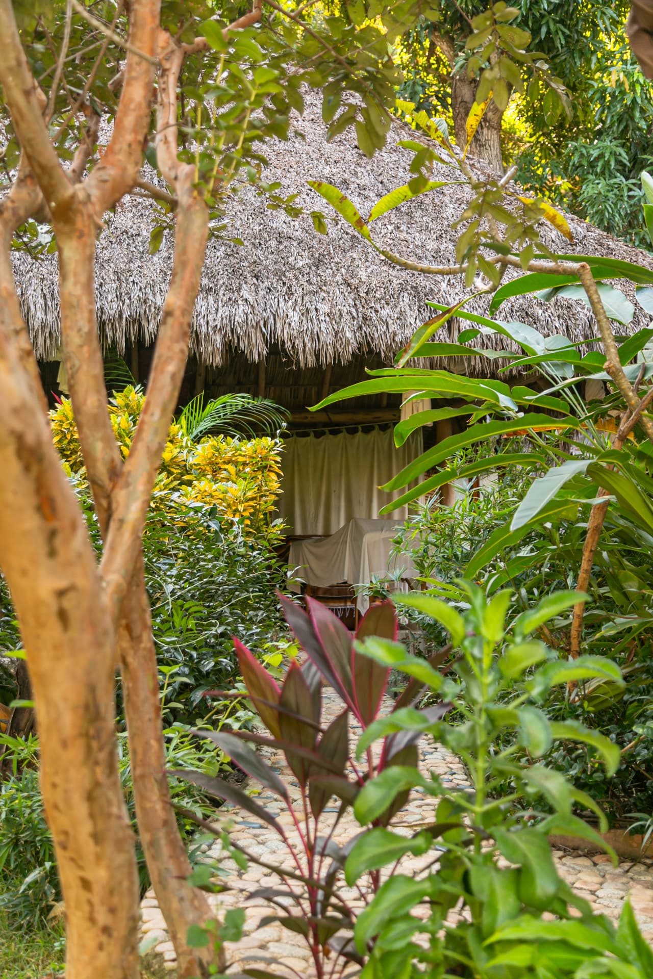 Bungalow surrounded by tropical vegetation at Amaca Beach Retreat