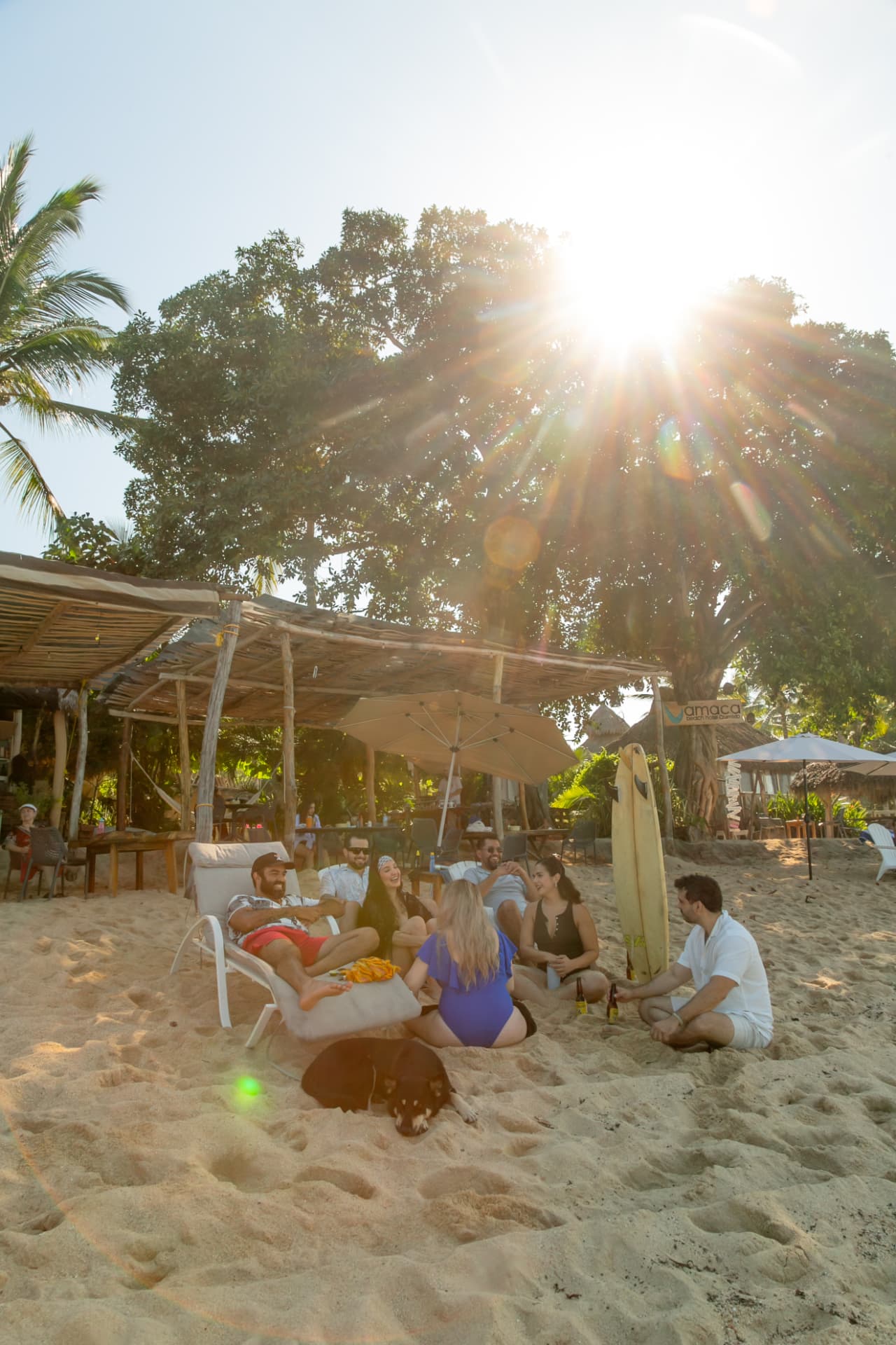 Group of friends with beers and a dog on the sand by the beach club at sunset