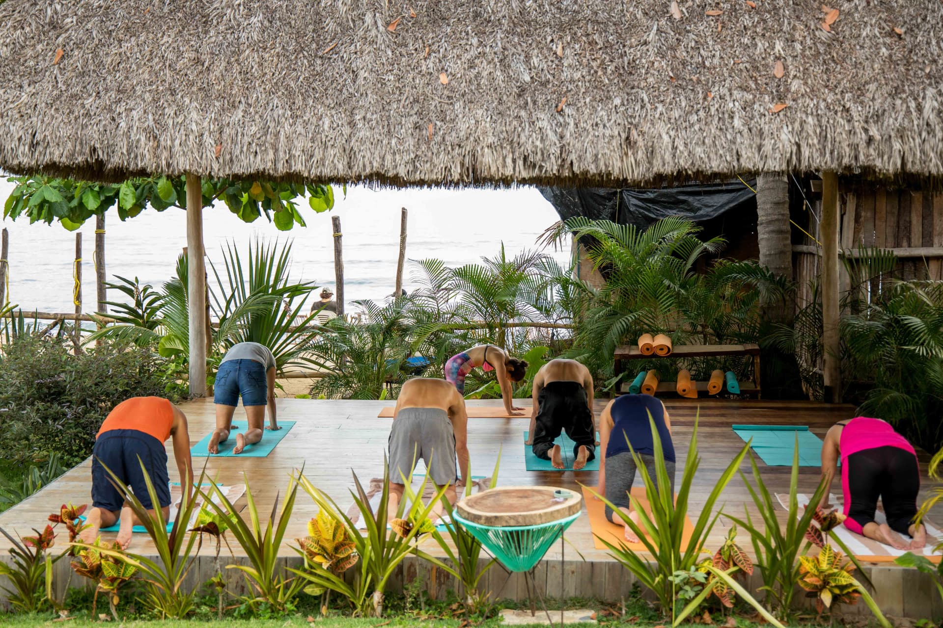 Group yoga class on the wooden deck surrounded by jungle