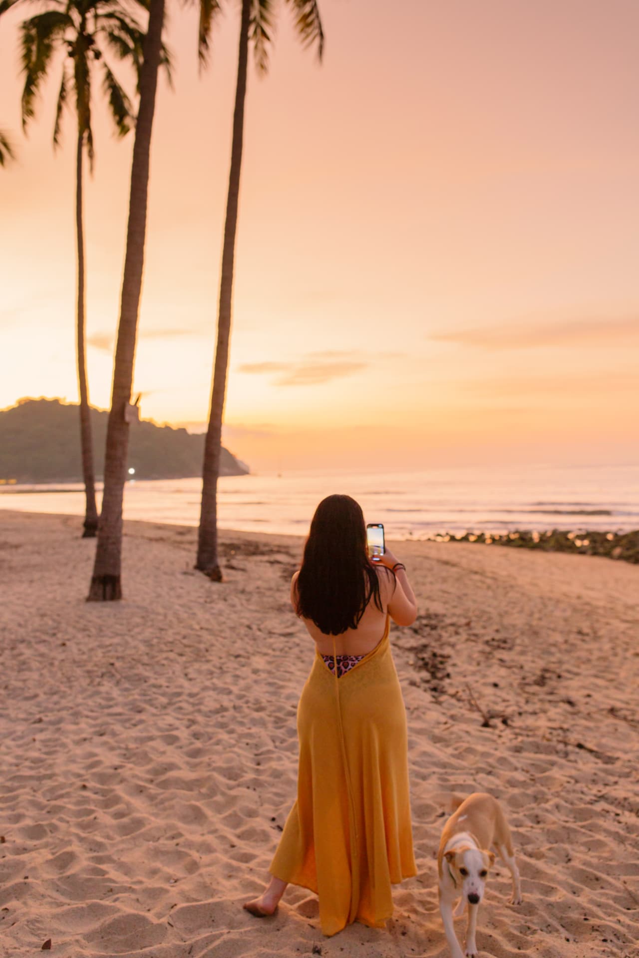 Woman photographing the sunset among the palms with a dog beside her