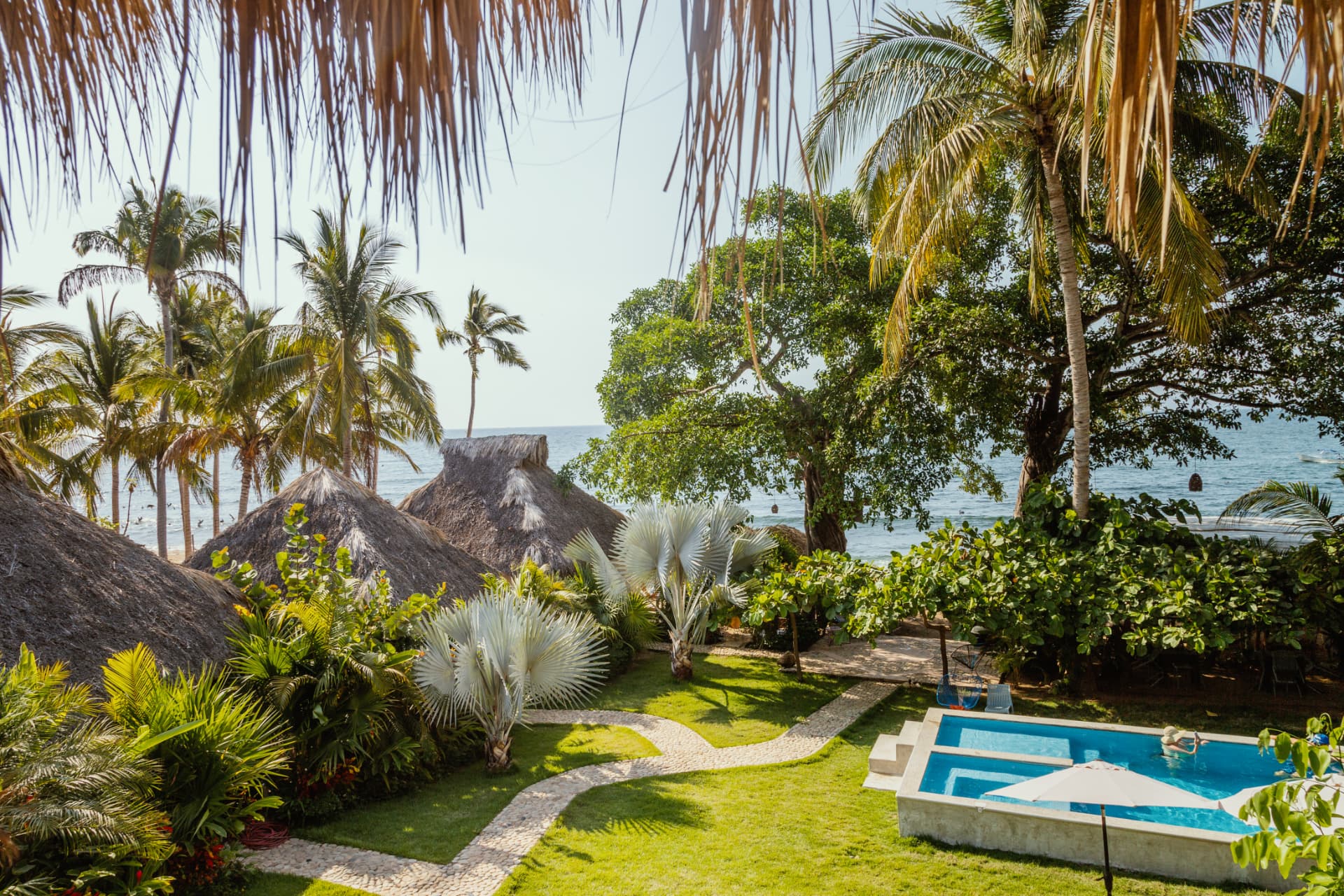 Loungers by the pool under the palms